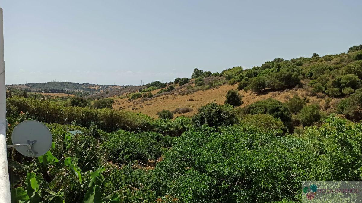 Ground