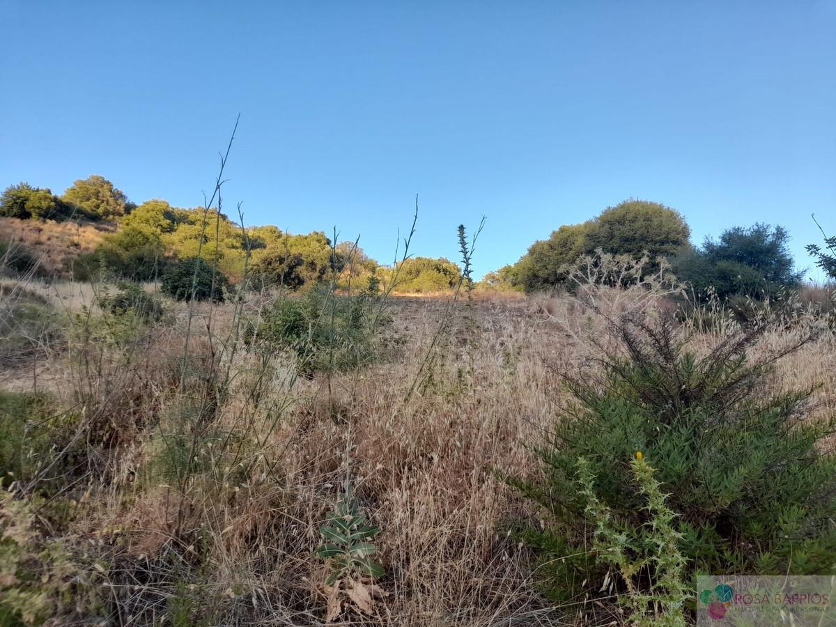 For sale of land in Estepona