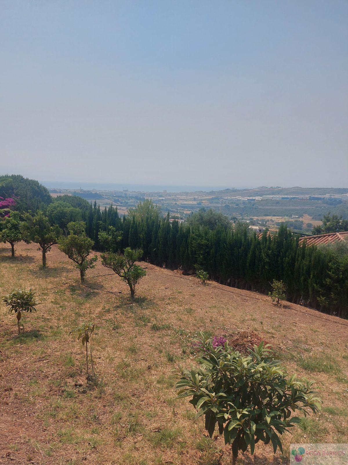 For sale of land in Estepona