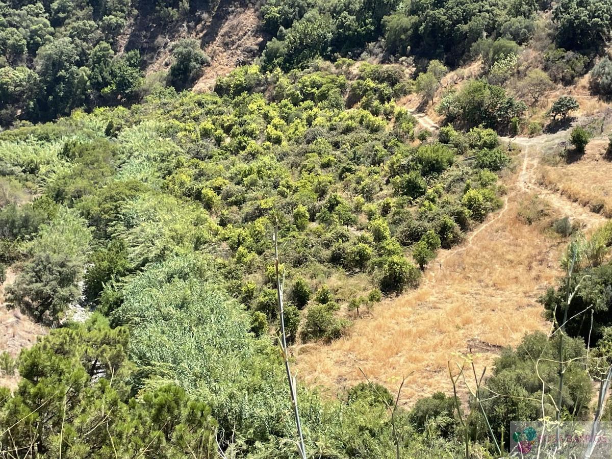For sale of land in Estepona