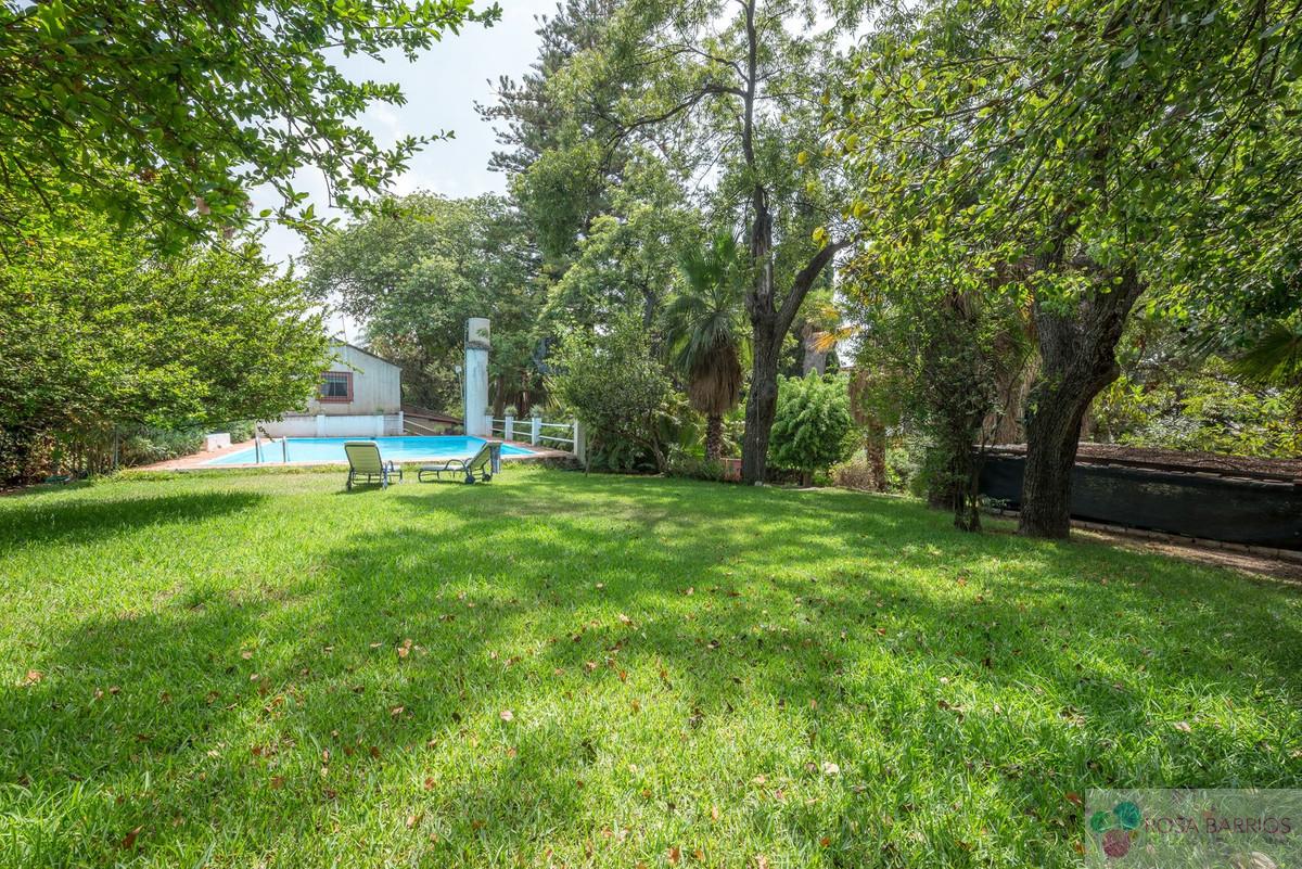 Venta de terreno en Marbella