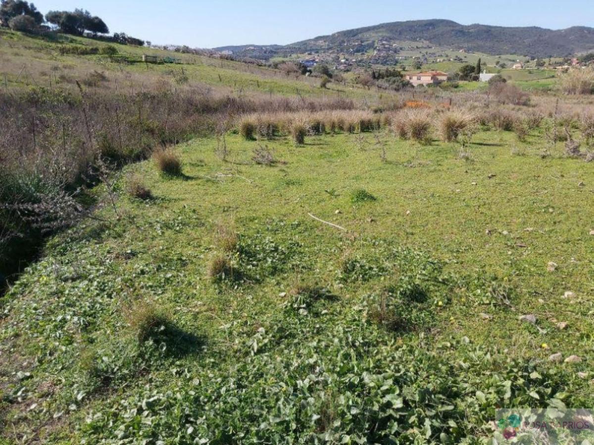 For sale of land in Estepona