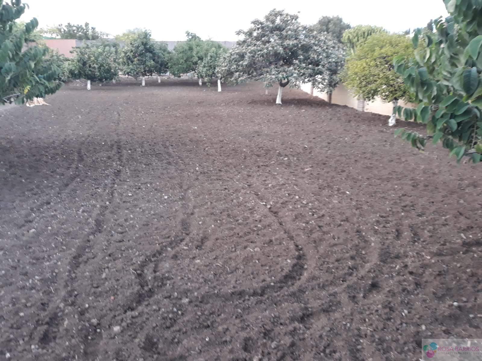 For sale of land in Estepona