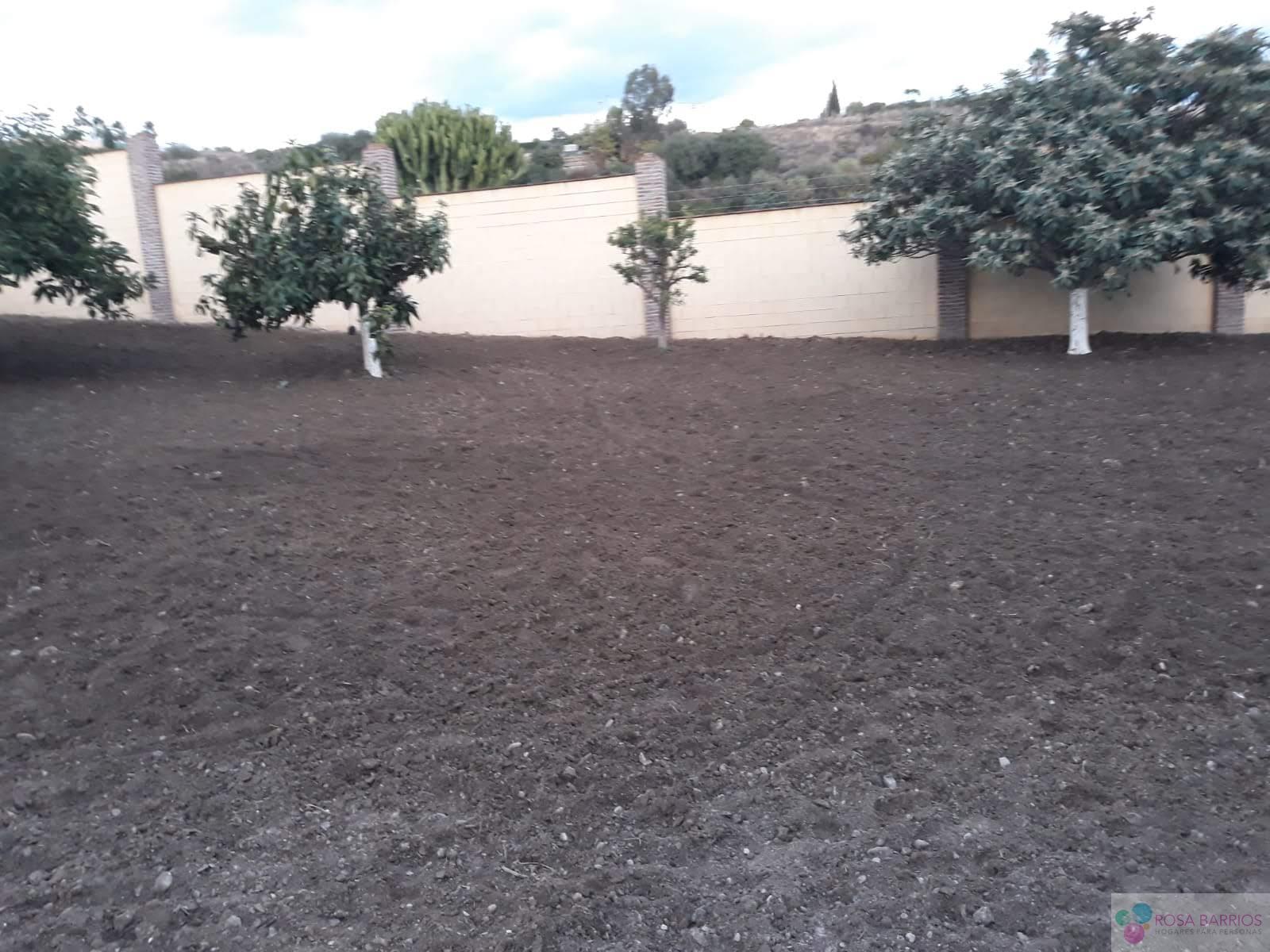 For sale of land in Estepona