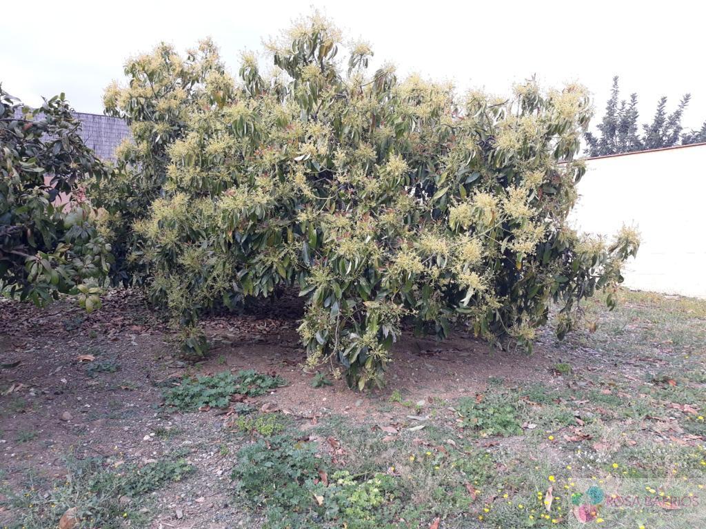 For sale of land in Estepona
