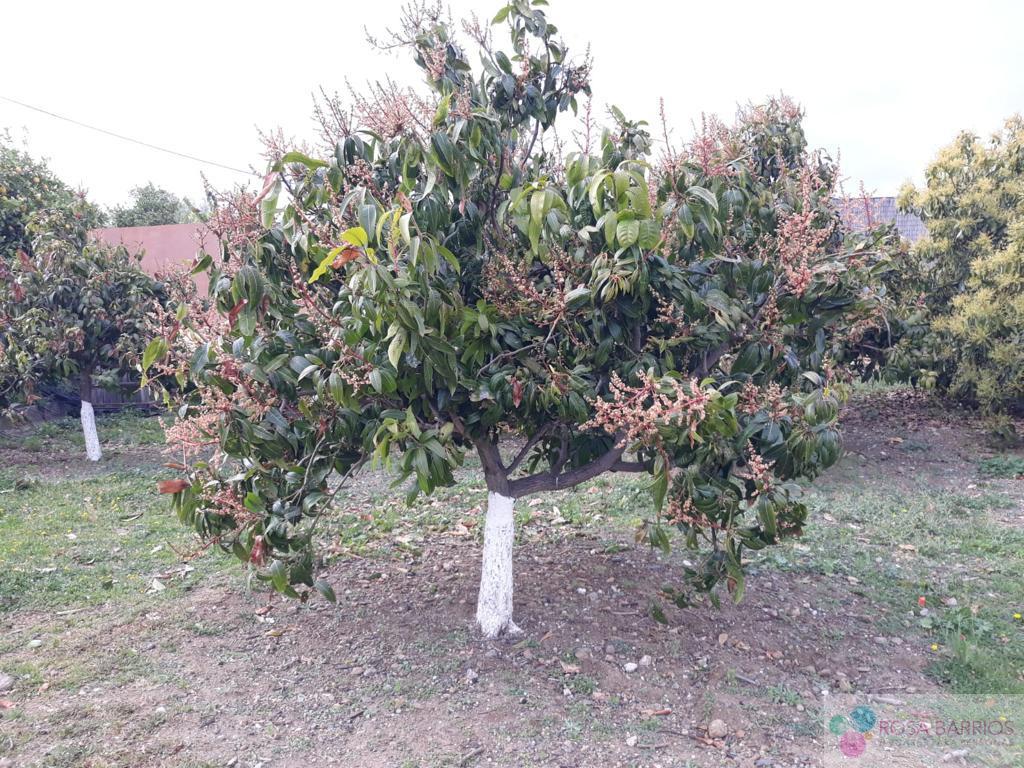 For sale of land in Estepona