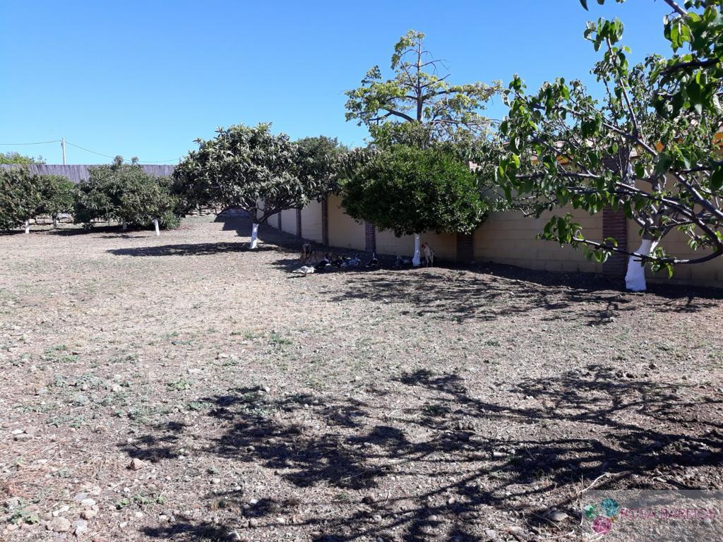 For sale of land in Estepona