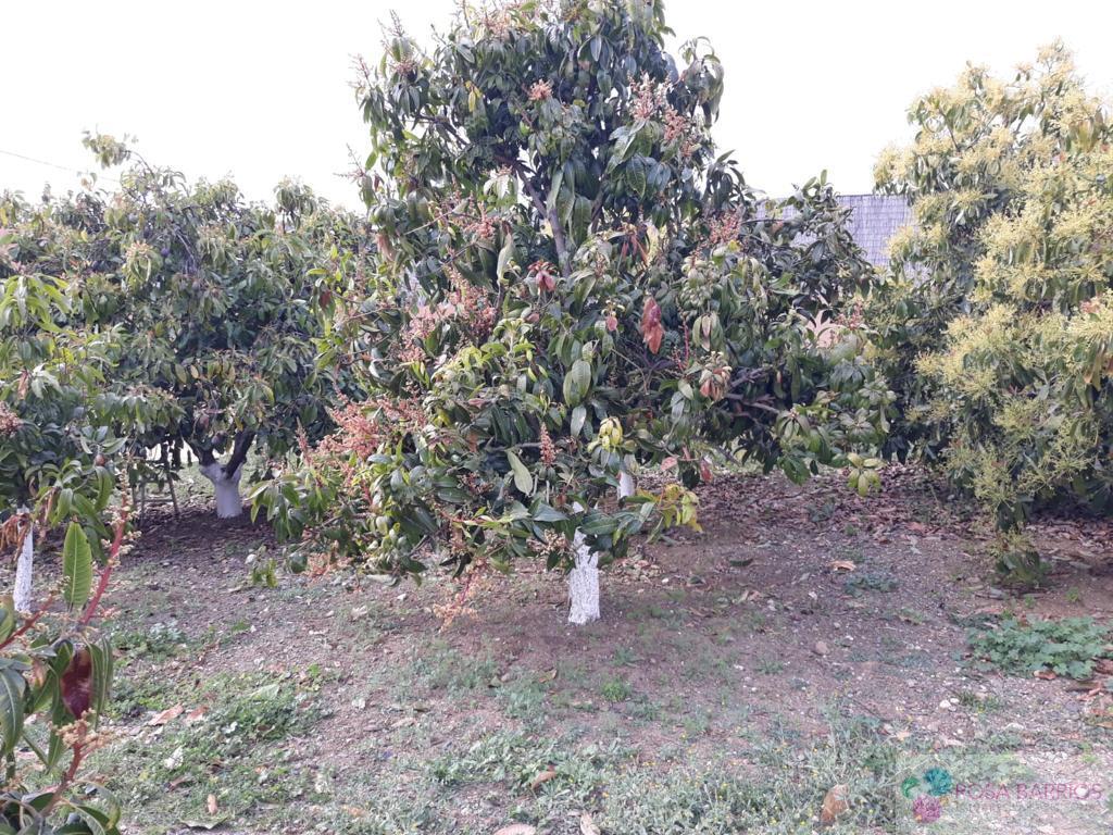 For sale of land in Estepona