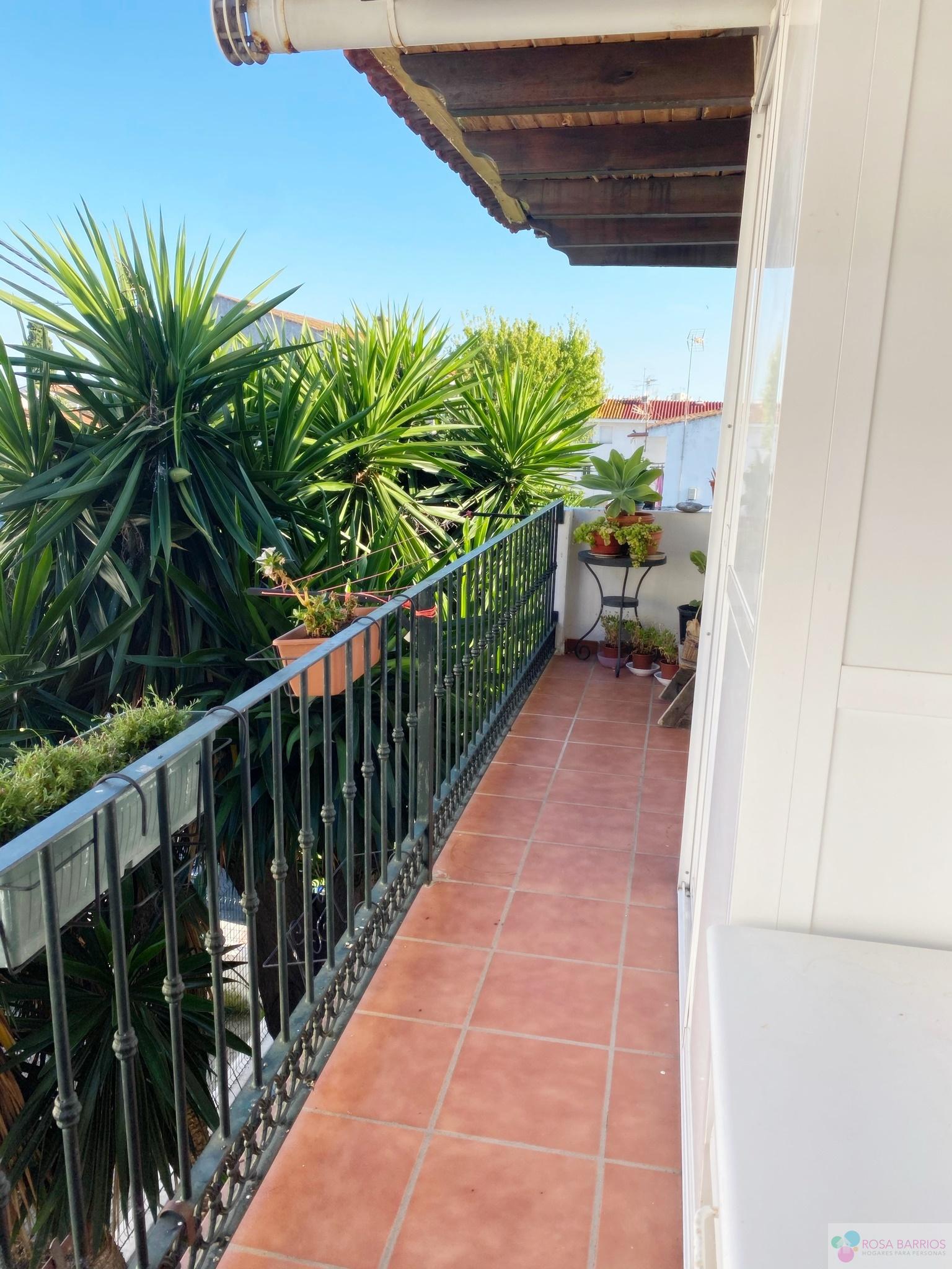 For sale of flat in Nueva Andalucía