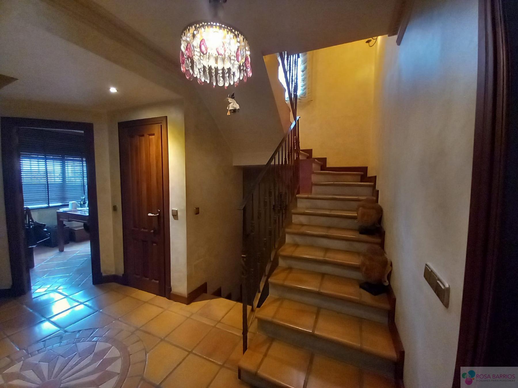 For sale of house in San Pedro de Alcántara