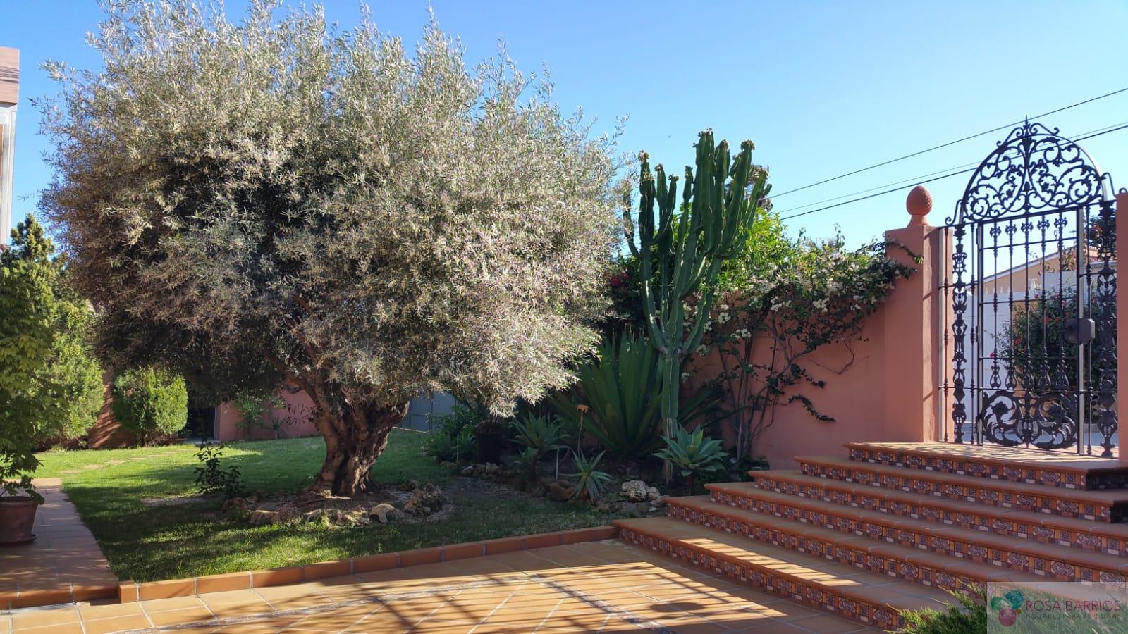 For sale of villa in Estepona