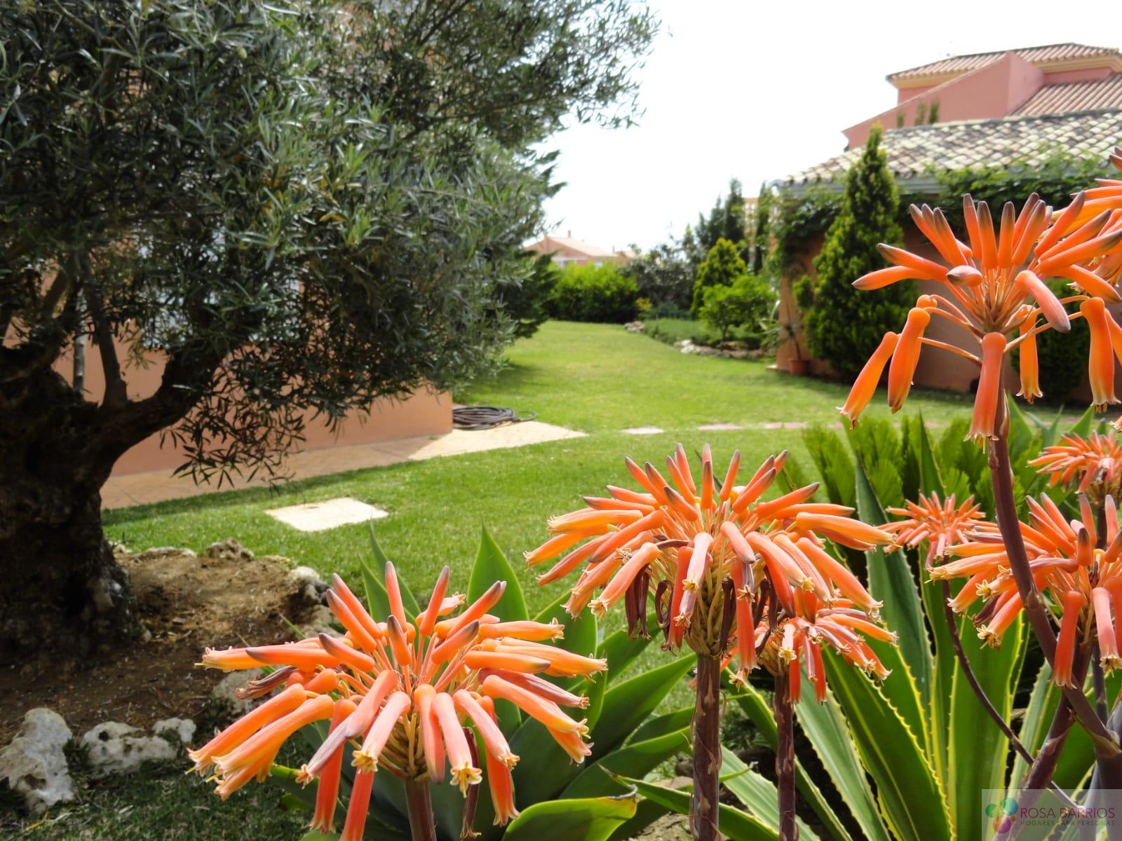 For sale of villa in Estepona