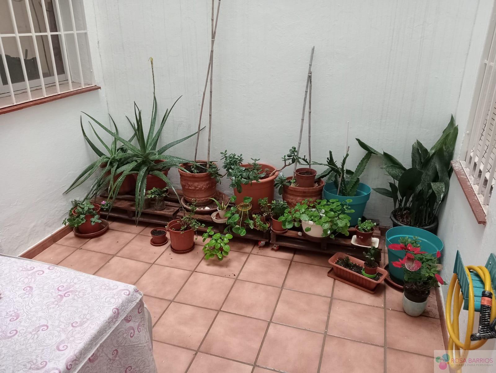 For sale of flat in San Pedro de Alcántara