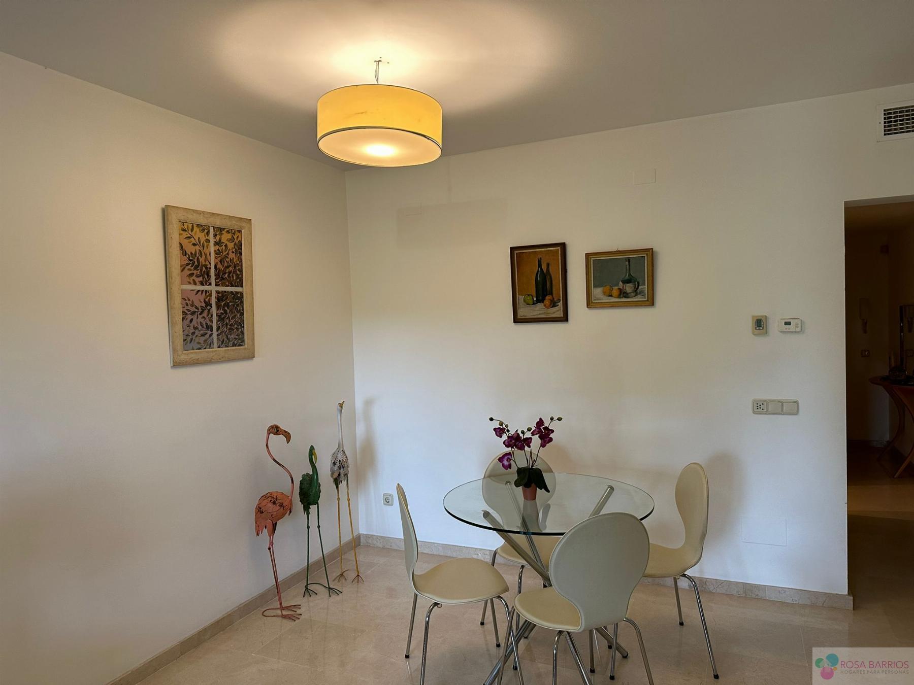 For rent of flat in San Pedro de Alcántara