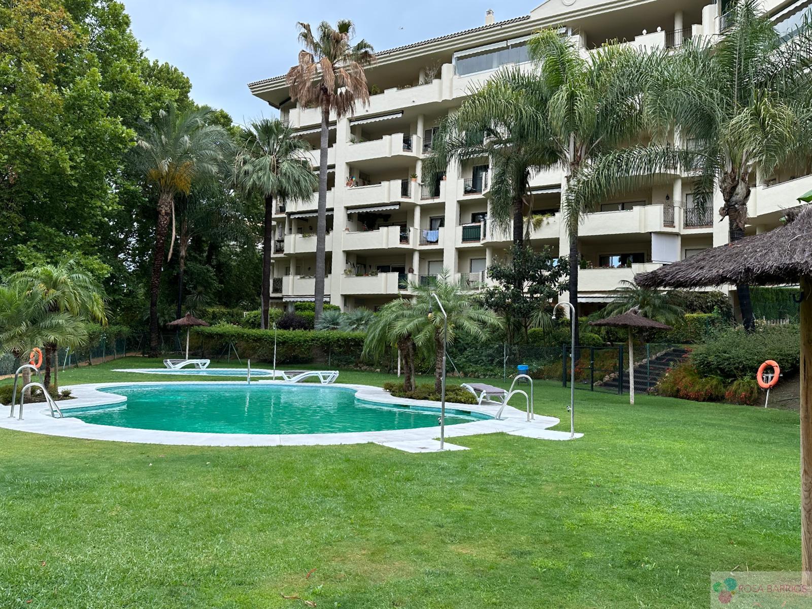 For rent of flat in San Pedro de Alcántara