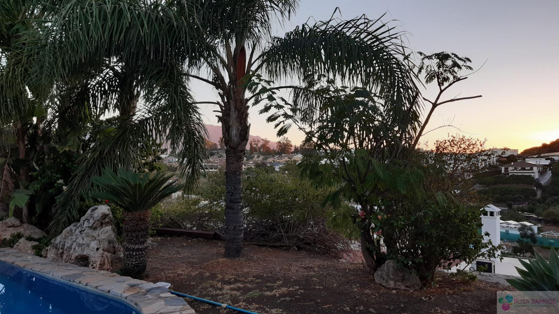 Venta de terreno en San Pedro de Alcántara