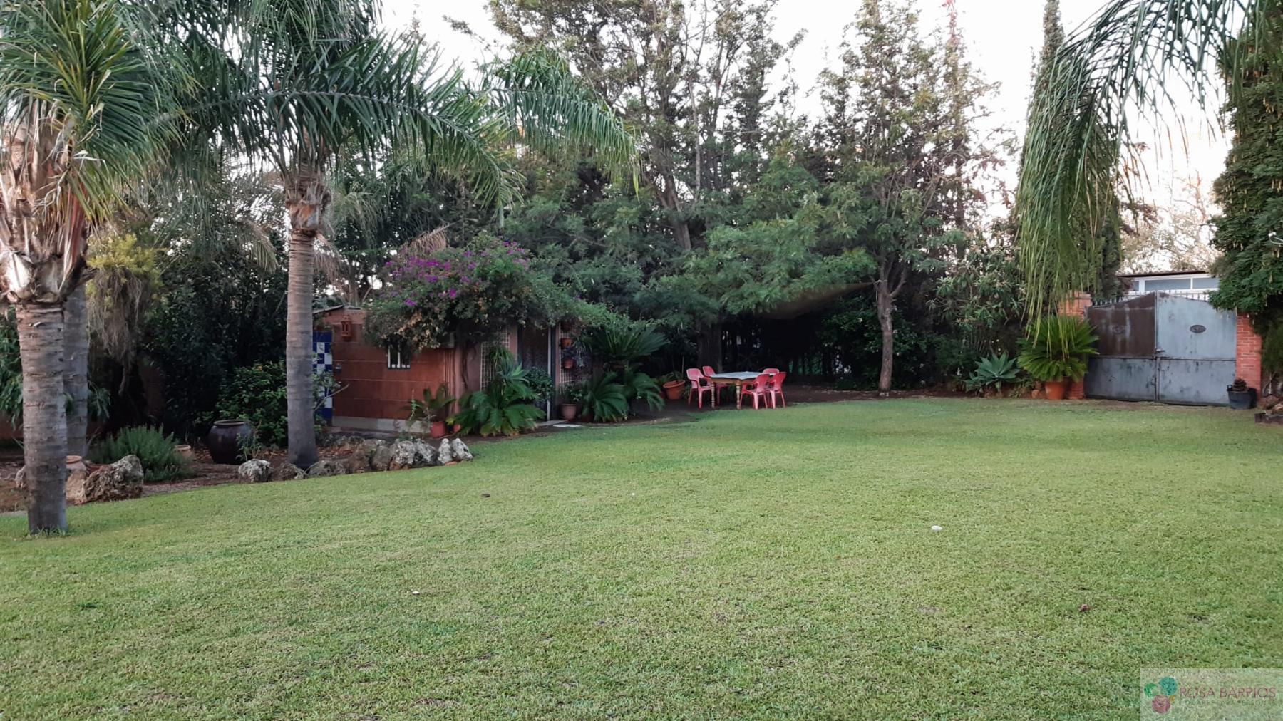 Venta de terreno en San Pedro de Alcántara