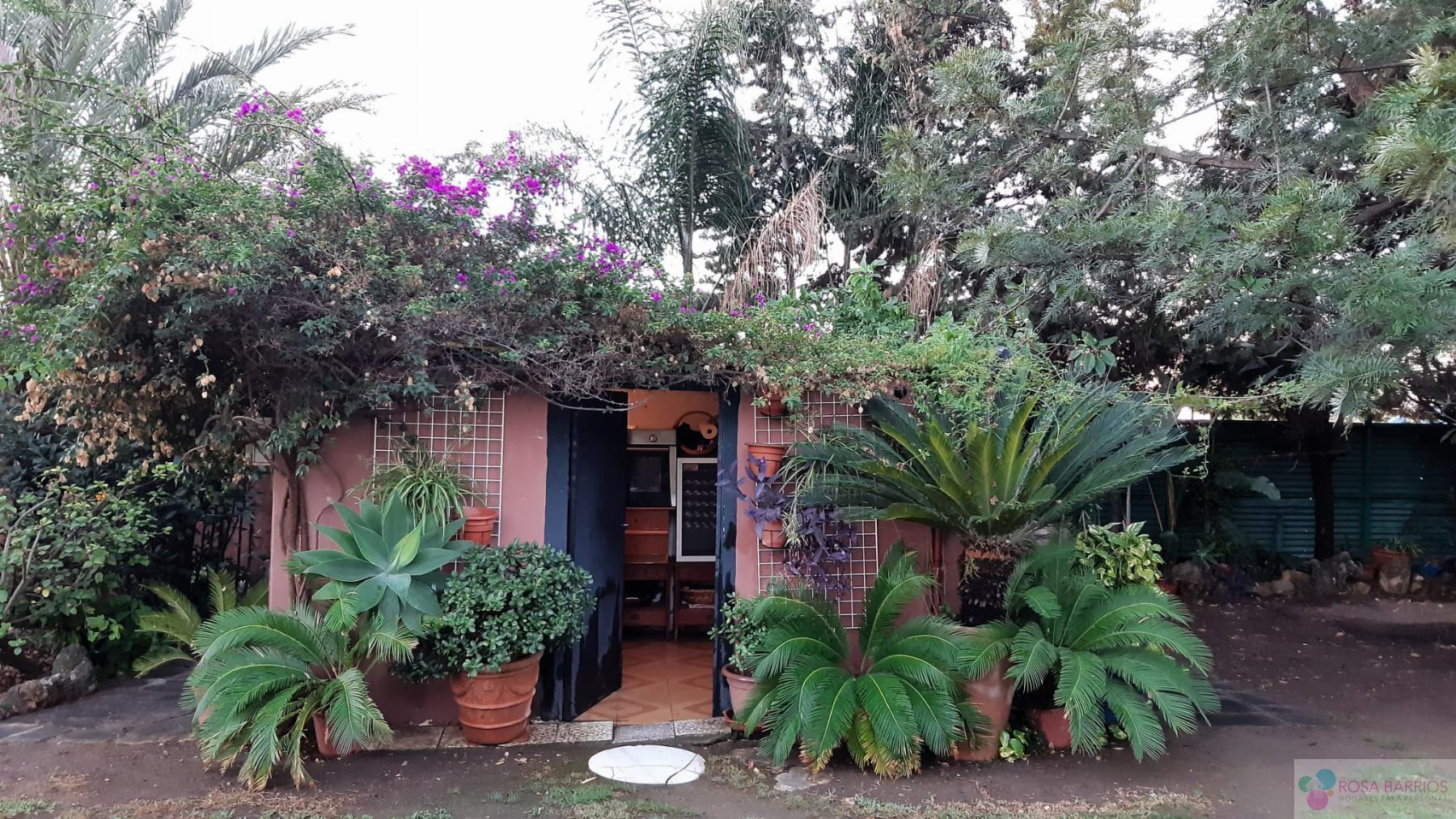 Venta de terreno en San Pedro de Alcántara