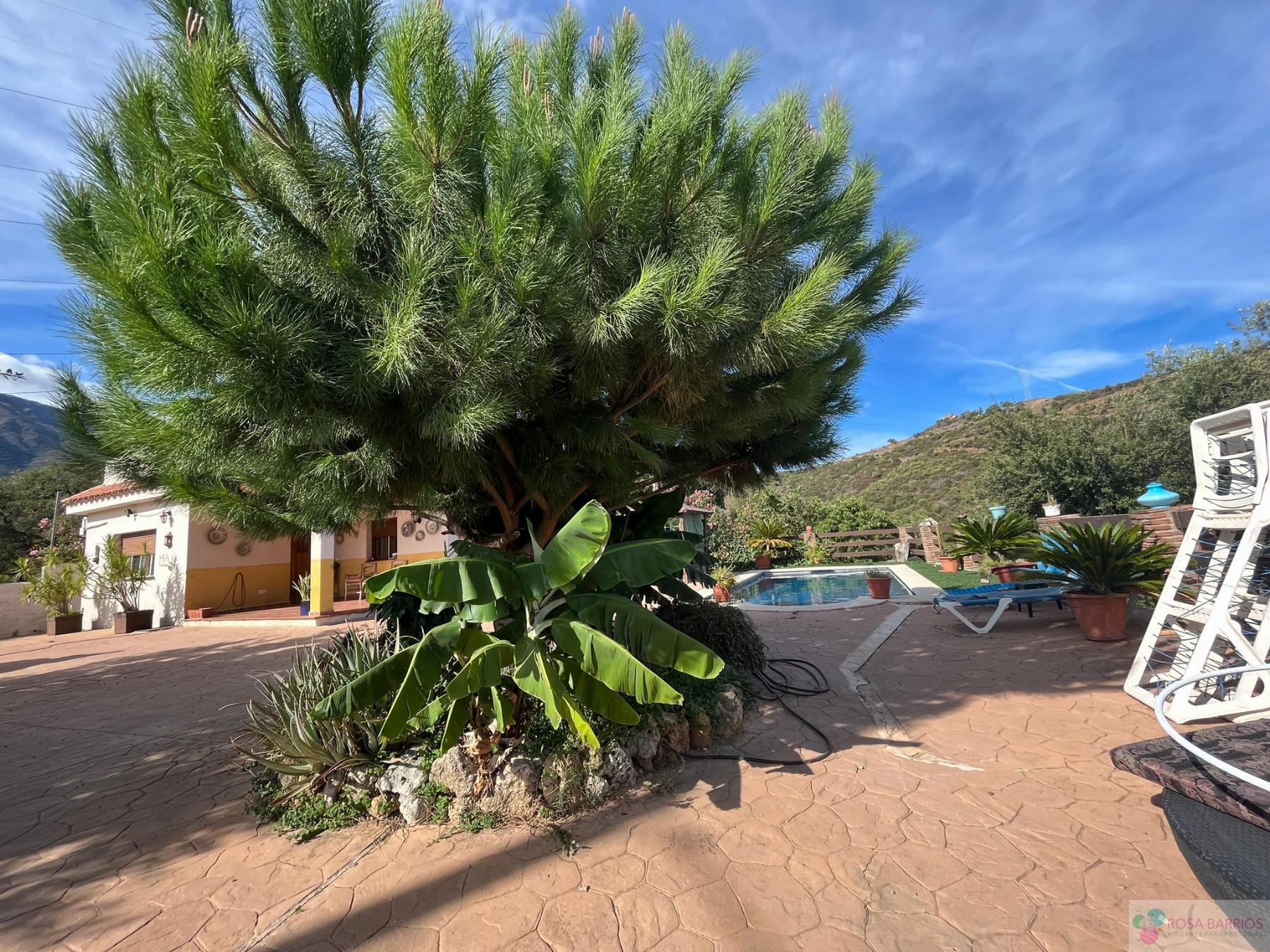 Zu verkaufen von landgrundstück in
 Estepona