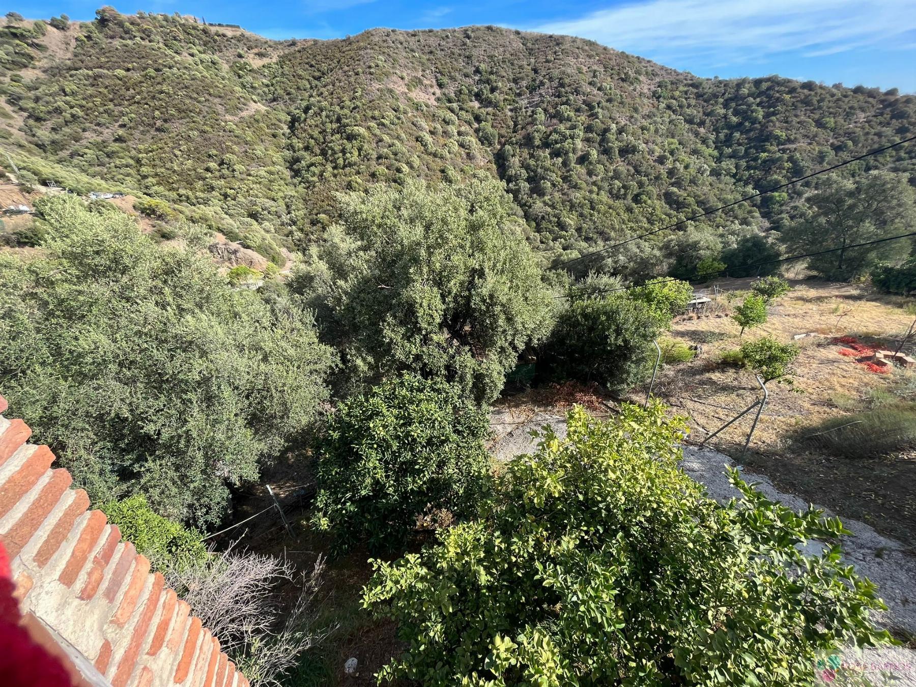 Zu verkaufen von landgrundstück in
 Estepona