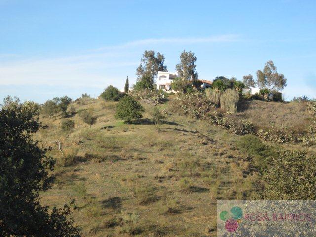 Venta de terreno en Álora