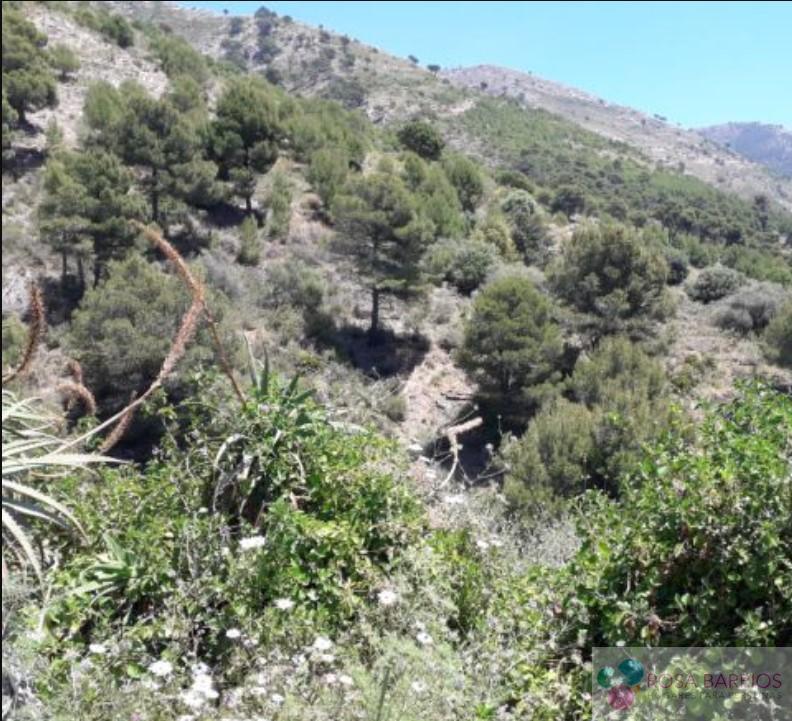 Venta de terreno en Mijas