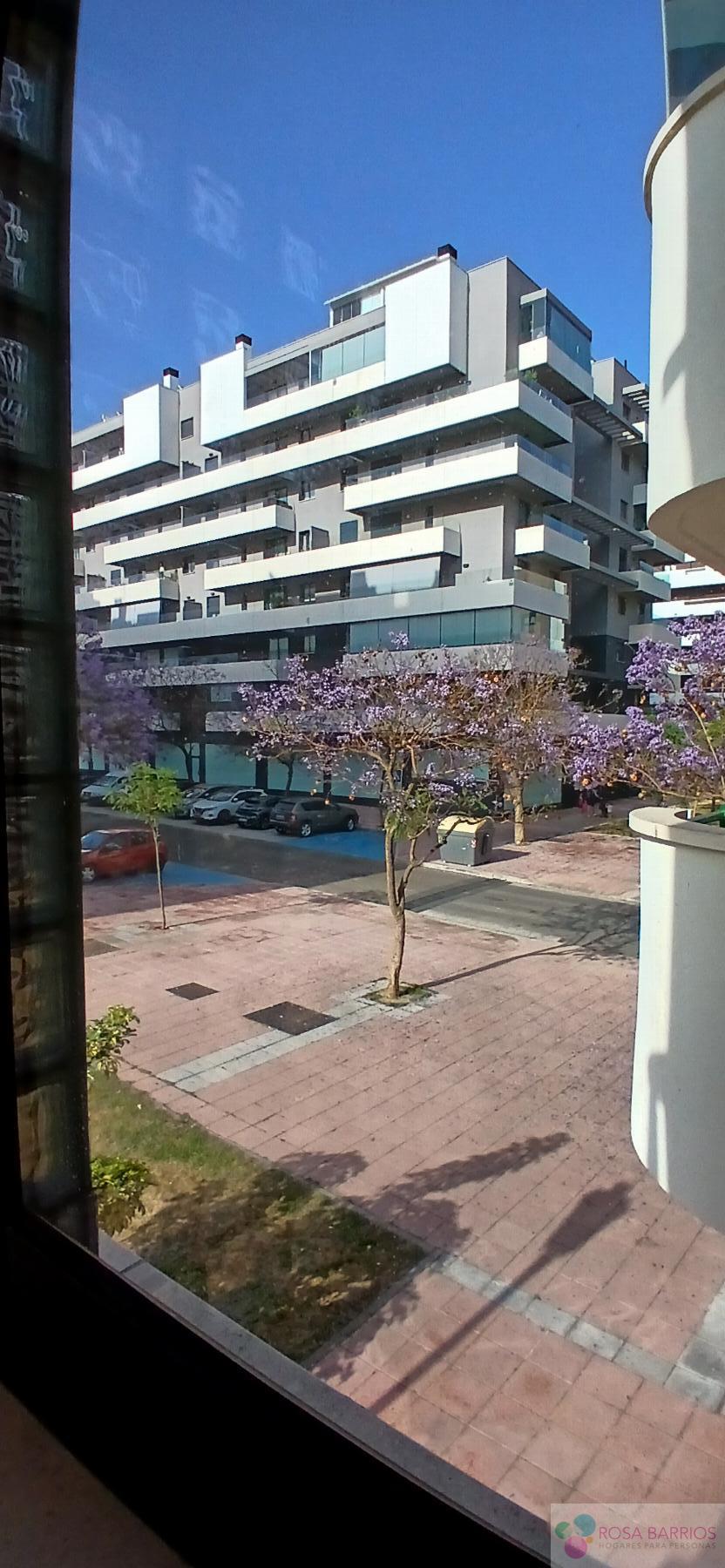 Vistas