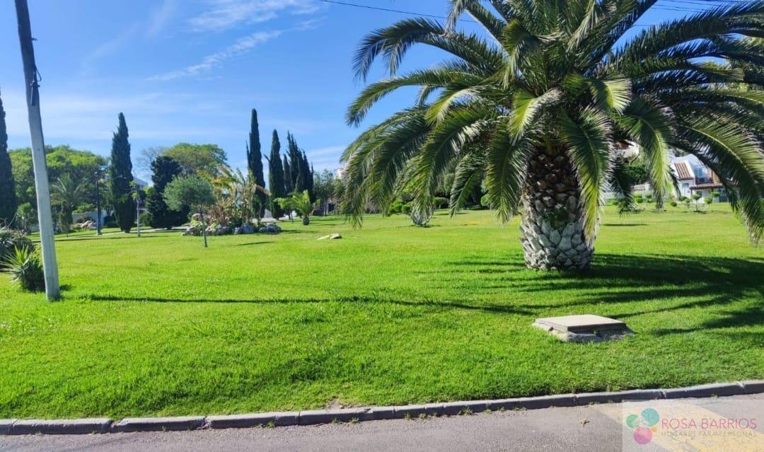 Surroundings