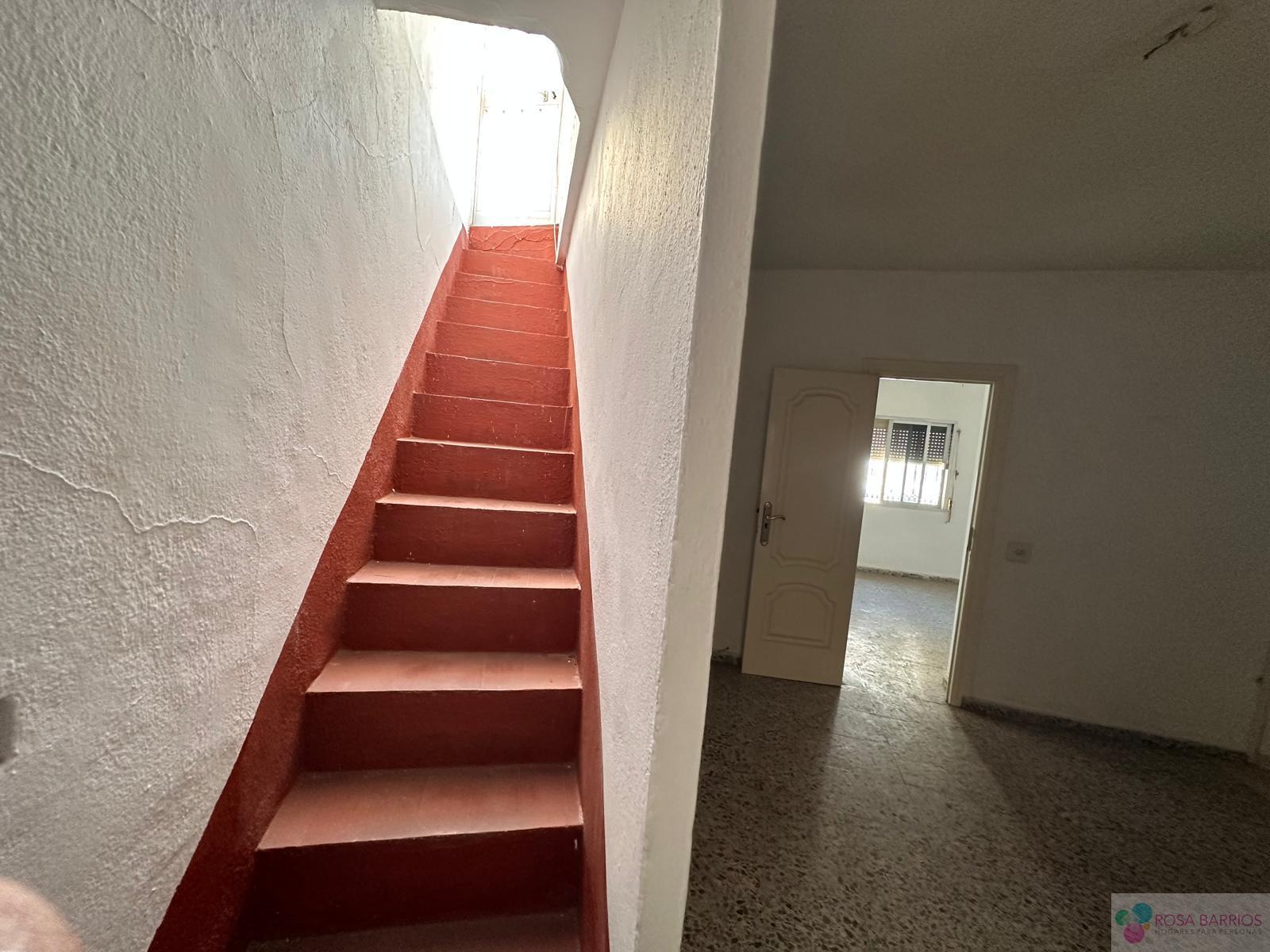 For sale of house in San Pedro de Alcántara