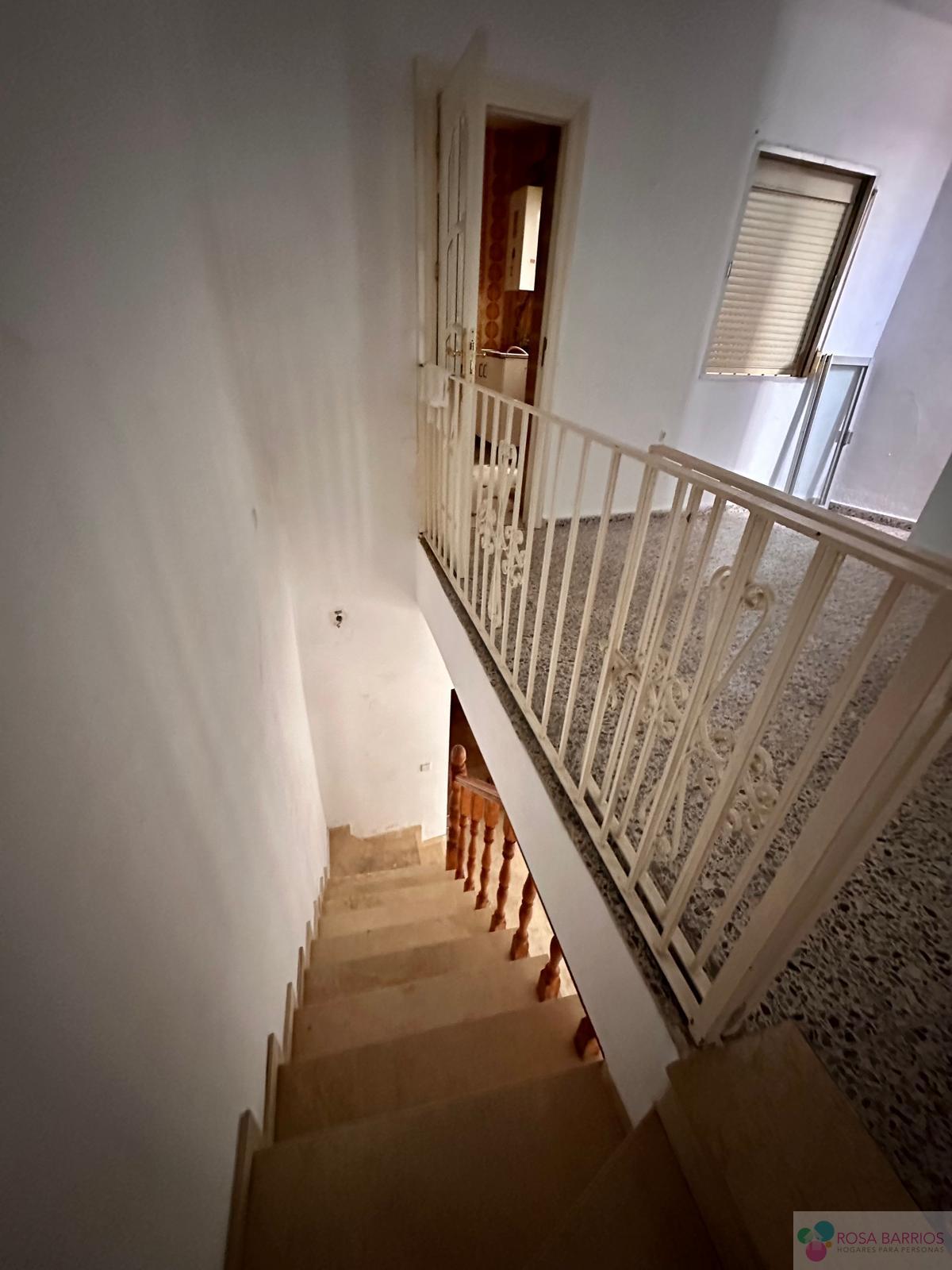 For sale of house in San Pedro de Alcántara