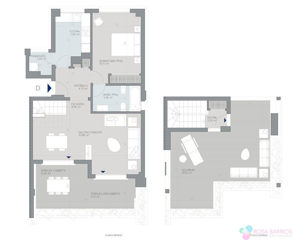 Plano