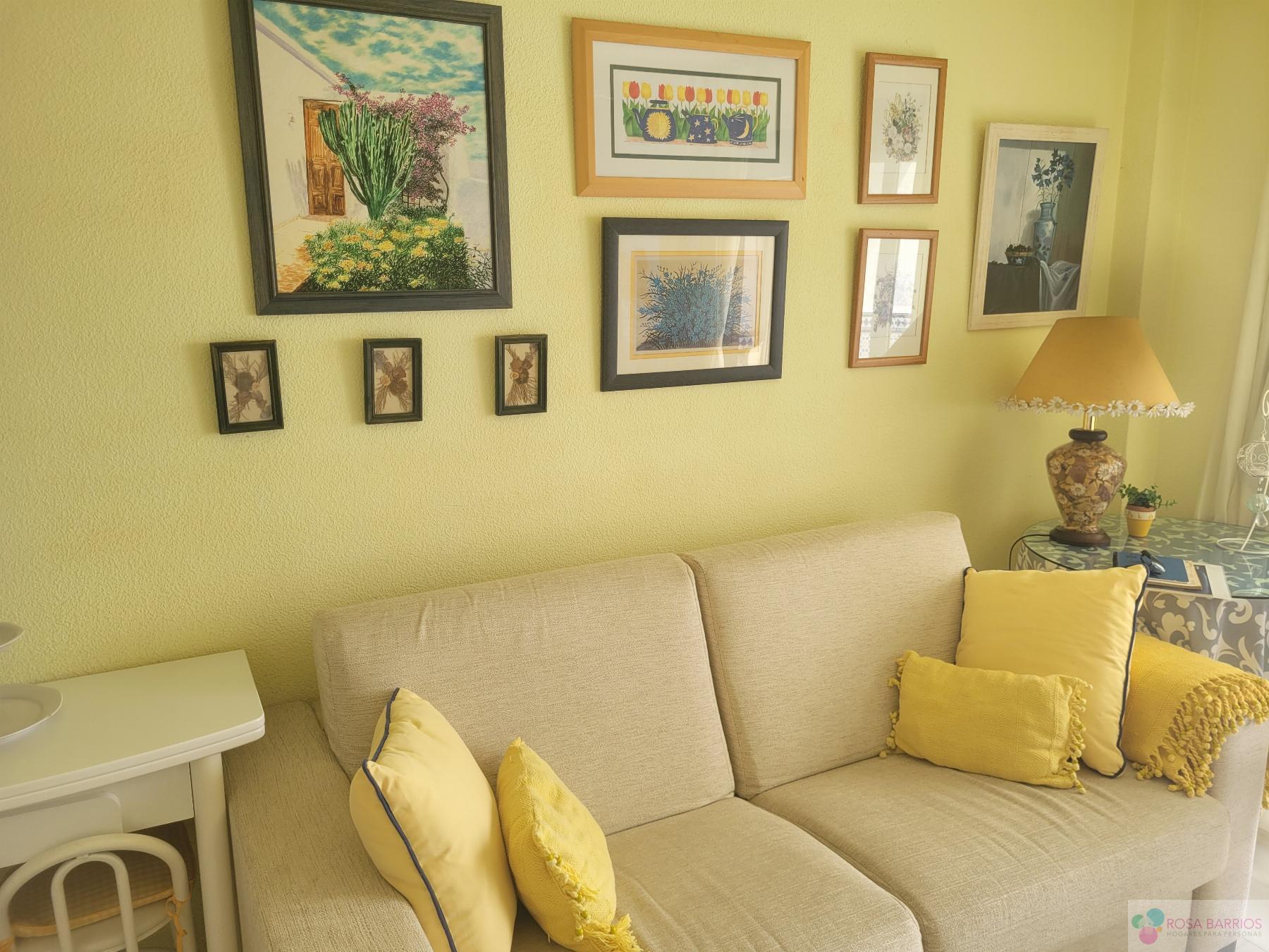 For rent of apartment in Estepona