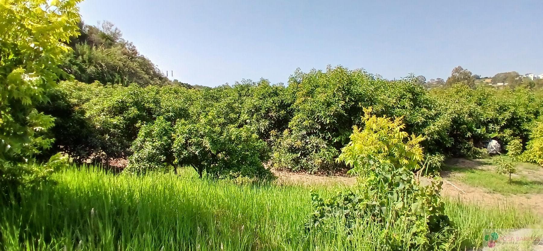 Venta de terreno en Estepona