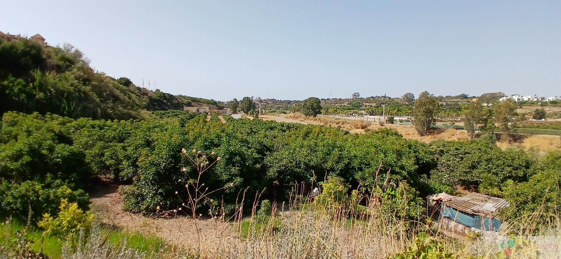 Venta de terreno en Estepona