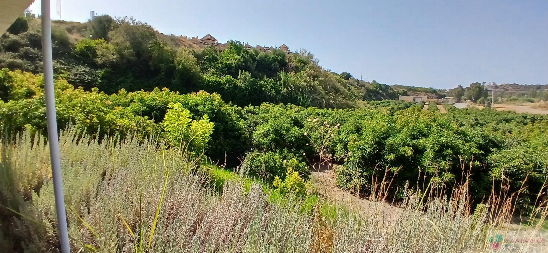 For sale of land in Estepona