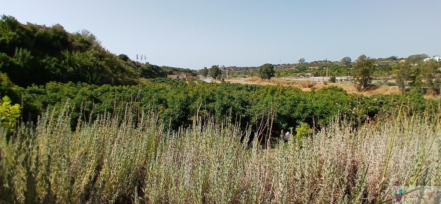 Venta de terreno en Estepona