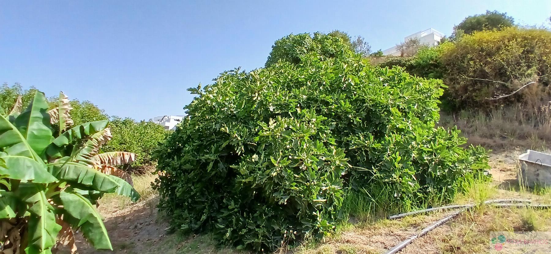 Venta de terreno en Estepona
