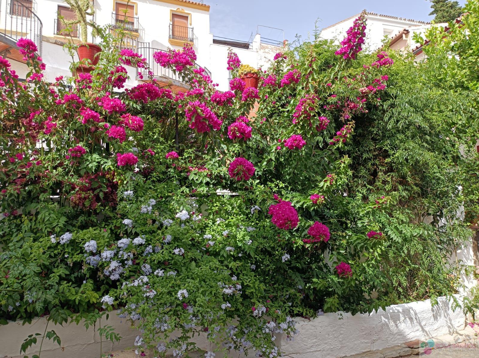 For sale of house in Ronda