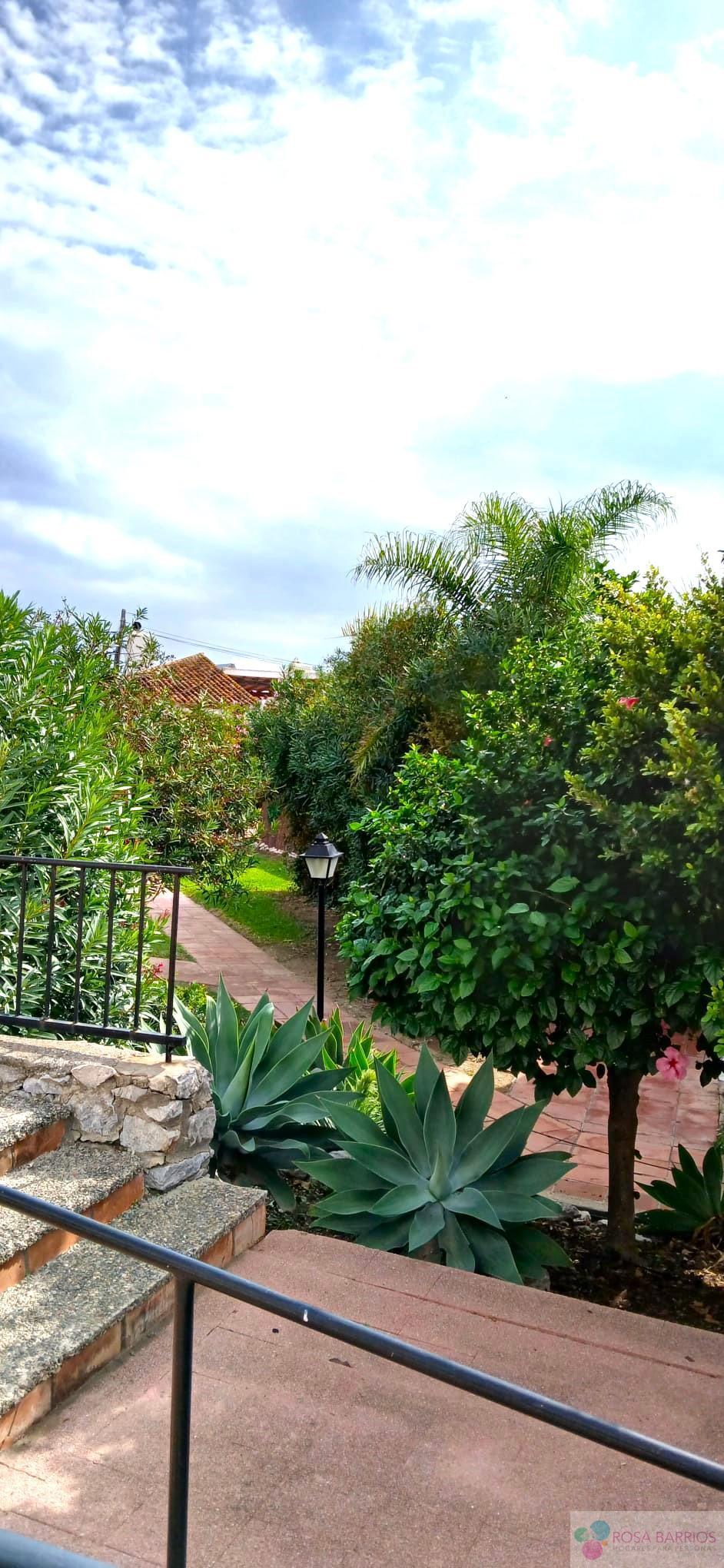 For sale of flat in Estepona