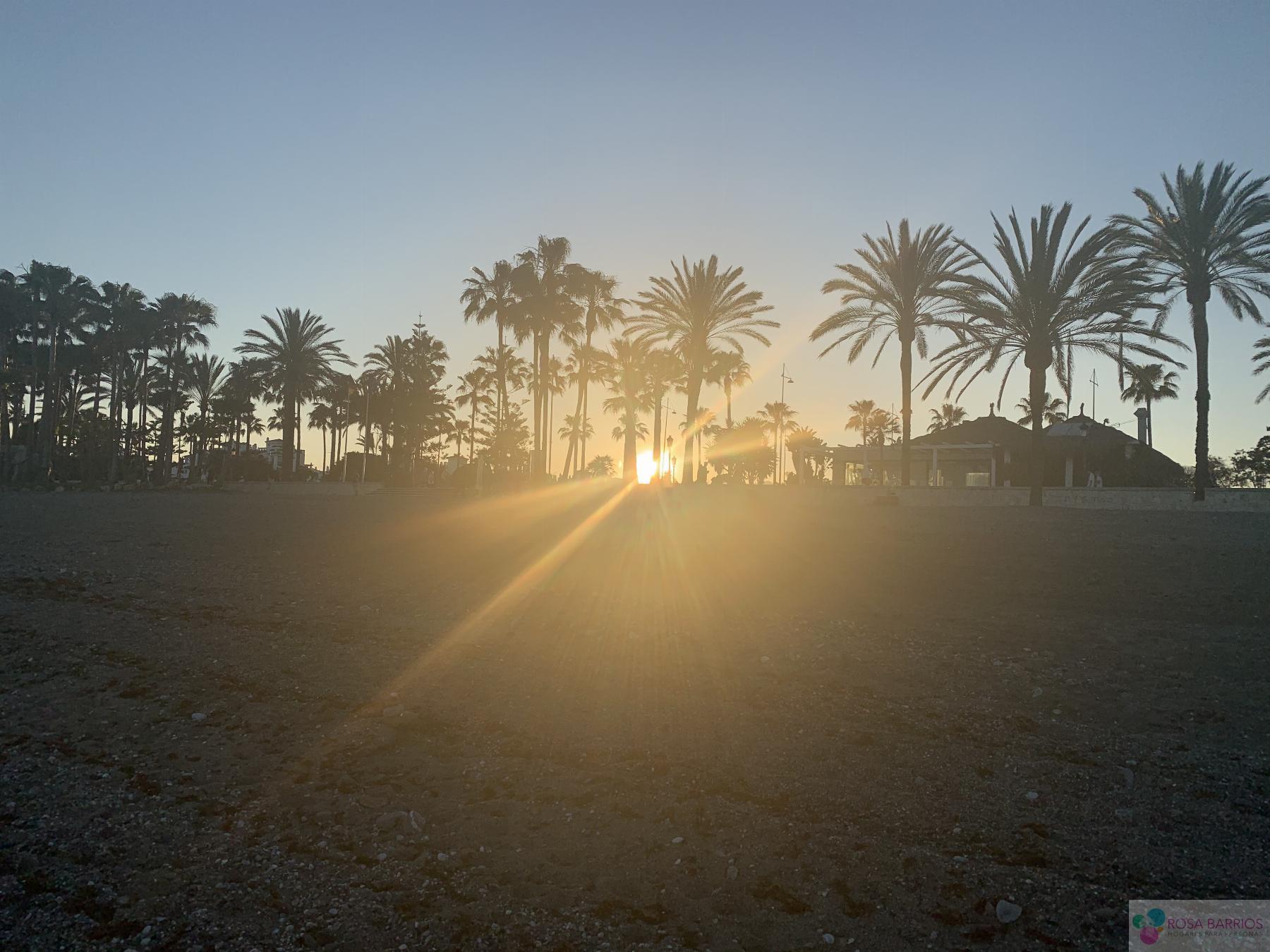 For sale of villa in San Pedro de Alcántara