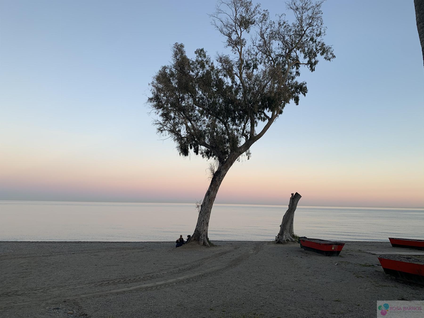 For sale of villa in San Pedro de Alcántara