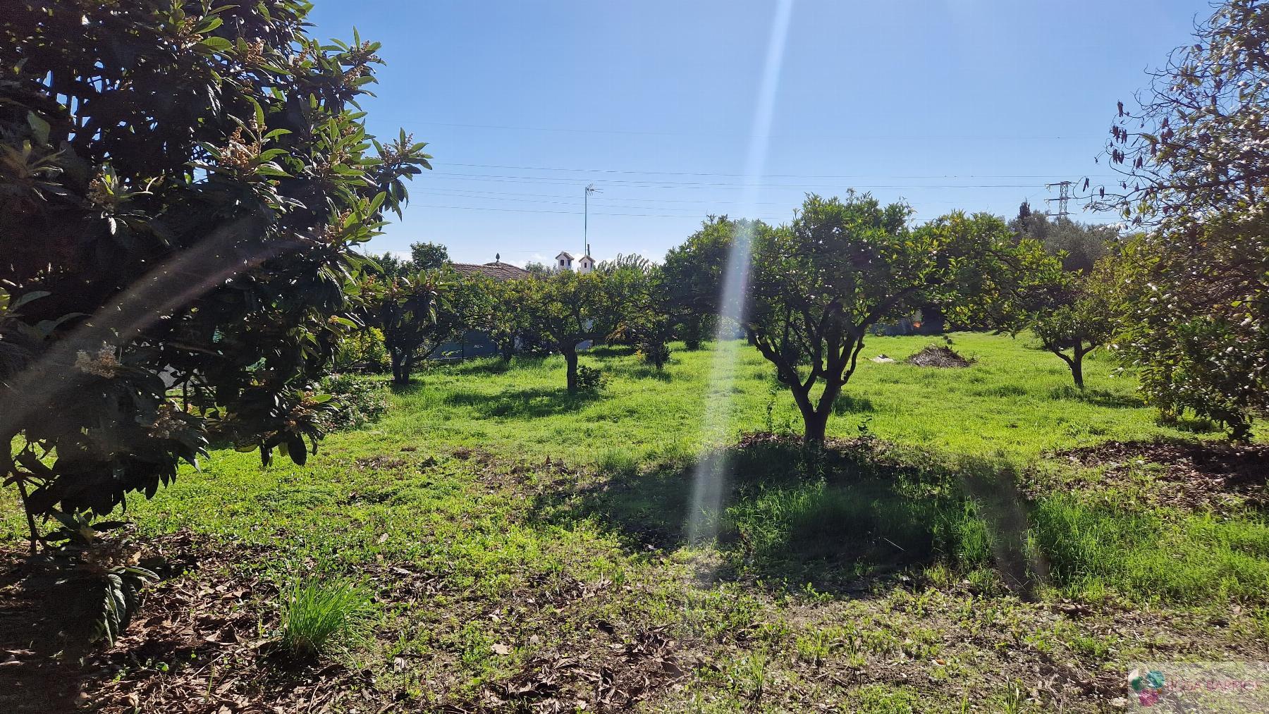 For sale of rural property in Estepona