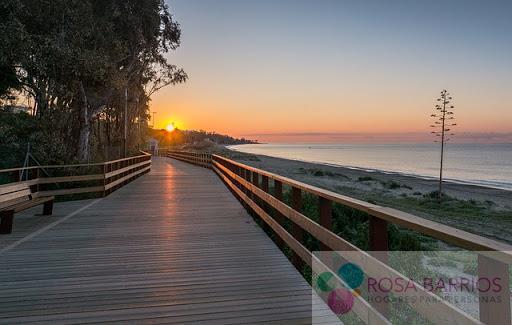 Venta de piso en San Pedro de Alcántara Venta de piso en San Pedro de Alcántara