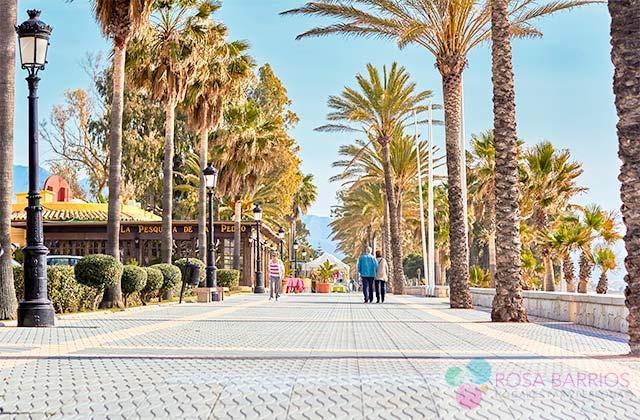 For sale of flat in San Pedro de Alcántara