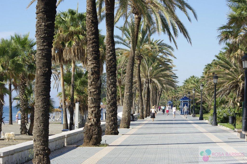 For sale of flat in San Pedro de Alcántara
