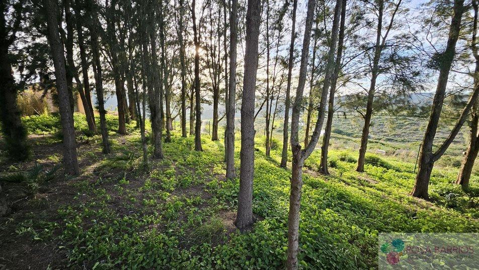 For sale of hotel in Manilva