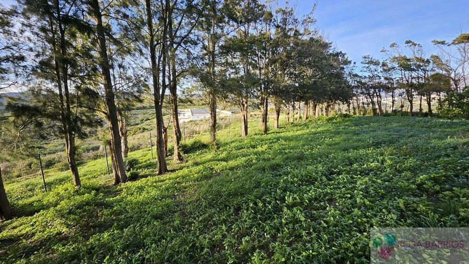 For sale of hotel in Manilva