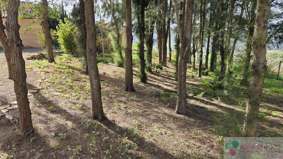 For sale of hotel in Manilva