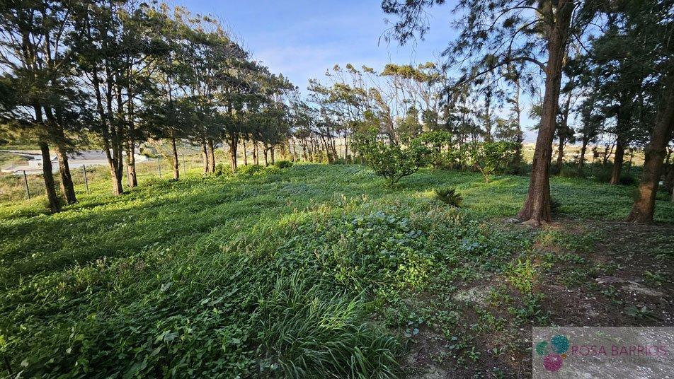 For sale of hotel in Manilva