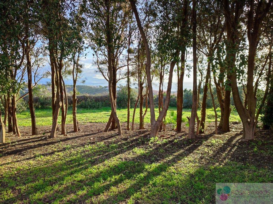 For sale of hotel in Manilva